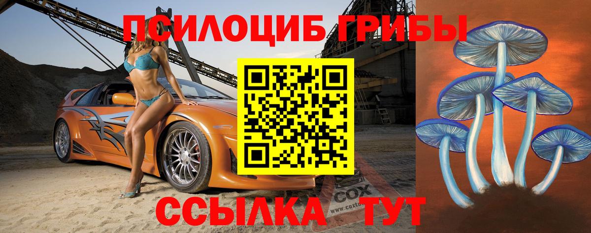 Псилоцибиновые грибы Psilocybine cubensis Нижнекамск
