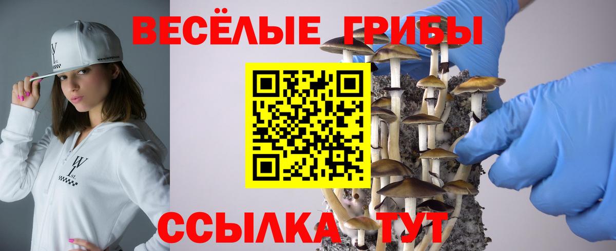Нижнекамск  Псилоцибиновые грибы прущие грибы  Вход с VPN 